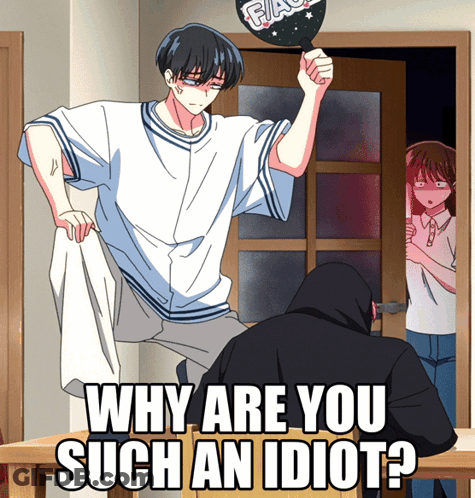 Why Are You Such An Idiot Cartoon GIF