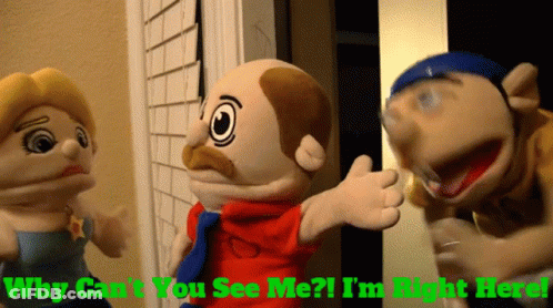 Why Can't You See Me? I'm Right Here GIF