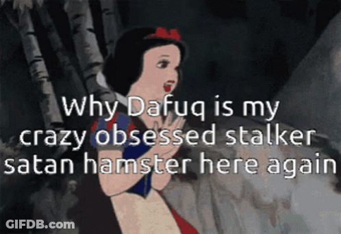 Why Dafug Is My Crazy Obsessed Stalker Satan Hamster Here Again Written On A Cartoon GIF