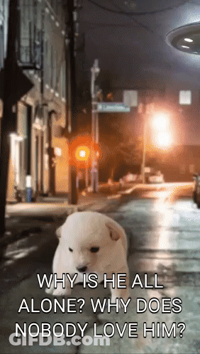 Why Is He All Alone Why Does Nobody Love Him Poster GIF