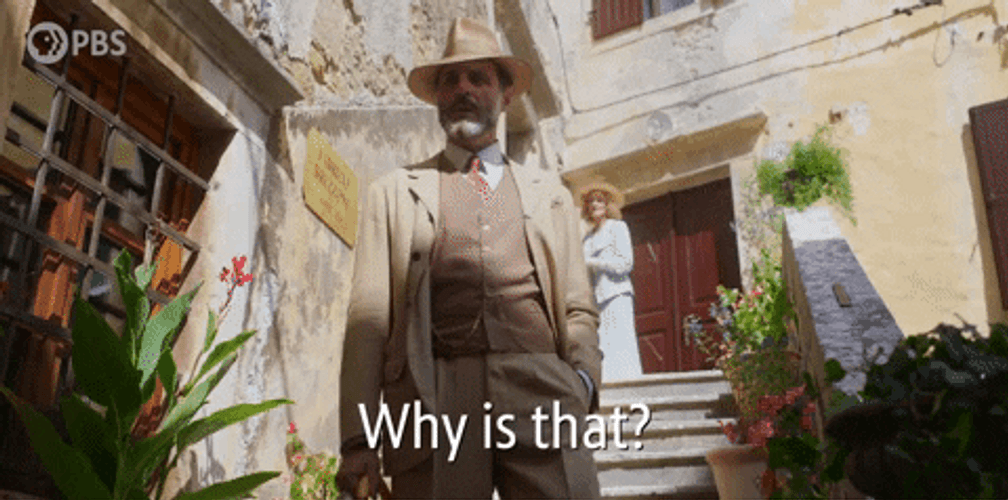 Why Is That Curious GIF