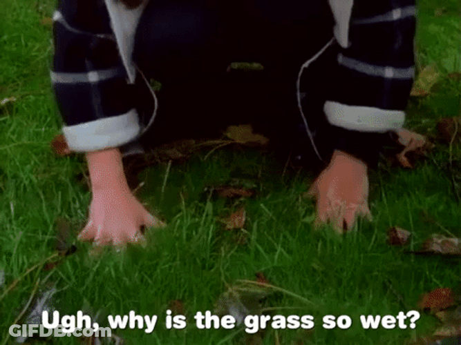 Why Is The Grass Soaking Wet GIF