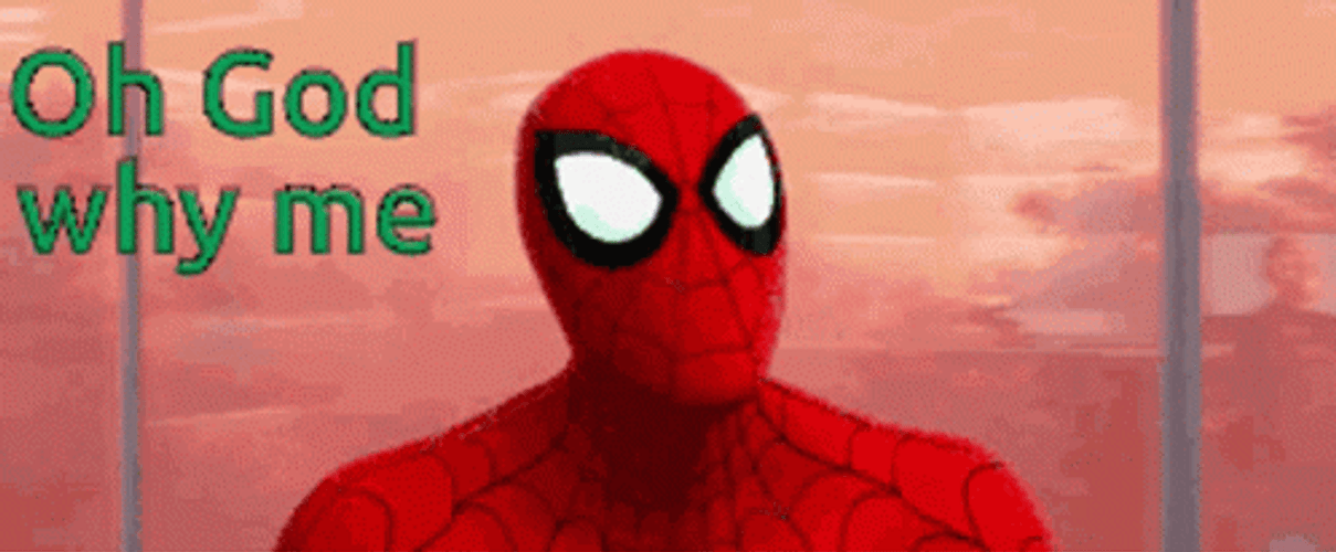 Why Me Spiderman Face Palm GIF