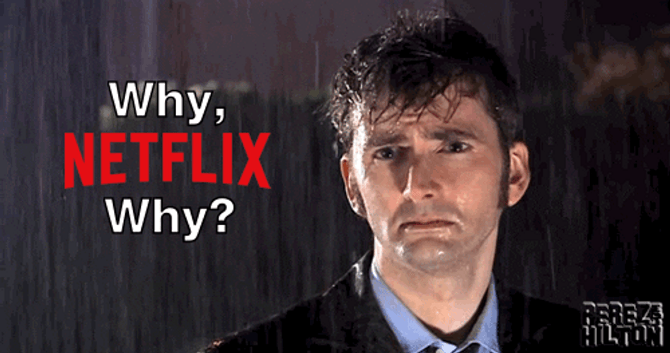 Why Netflix Why GIF