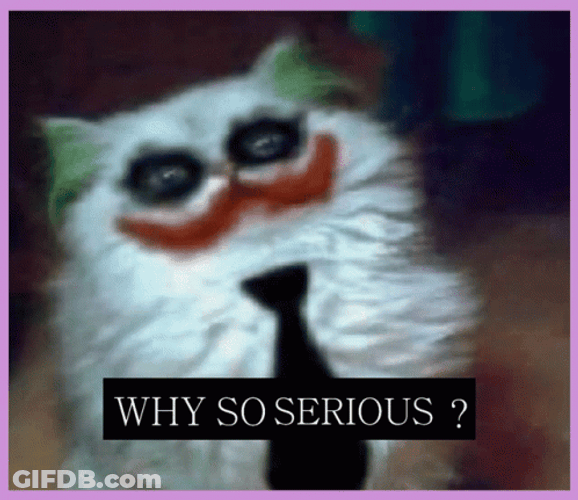 Why So Serious Joker Cat Meme GIF