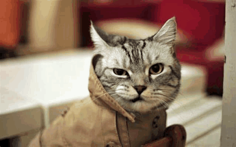 Why So Serious Meme GIF