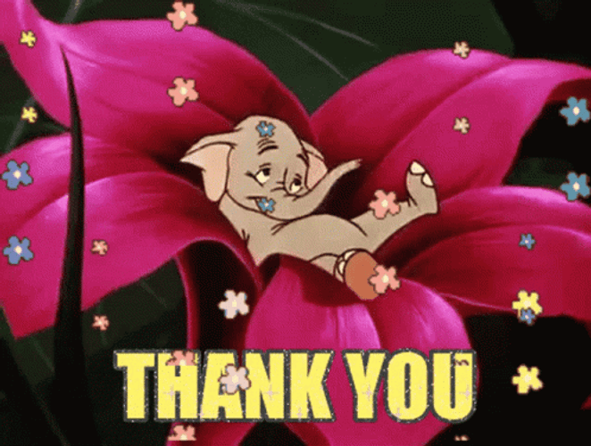 Why Thank You Elephant Flower GIF