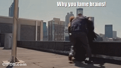 Why You Lame Brains GIF