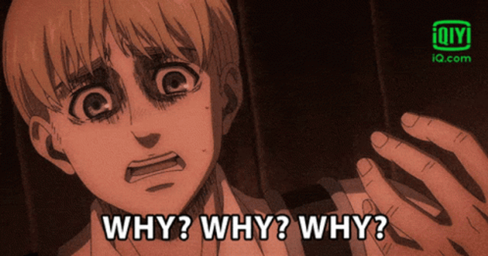 Whyyy Armin Alrert GIF