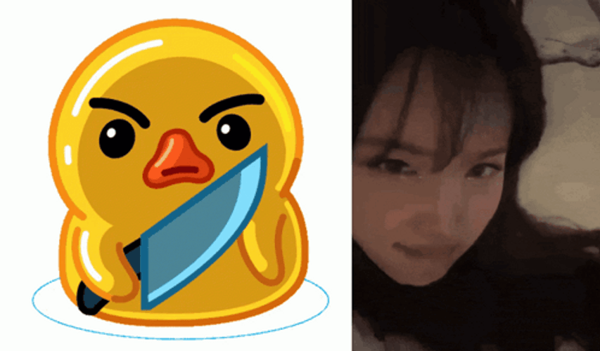 Wicked Plan Nugget The Duck Meme GIF