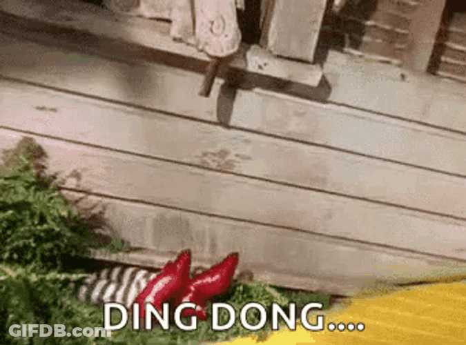 Wicked Witch Melting Ding Dong GIF