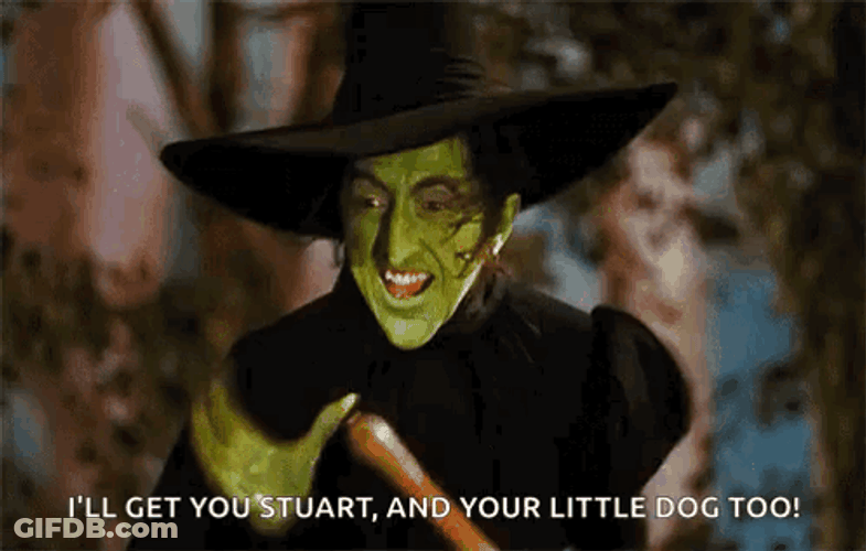 Wicked Witch Melting I'll Get You Stuart GIF