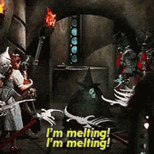 Wicked Witch Melting In Front Of The People GIF
