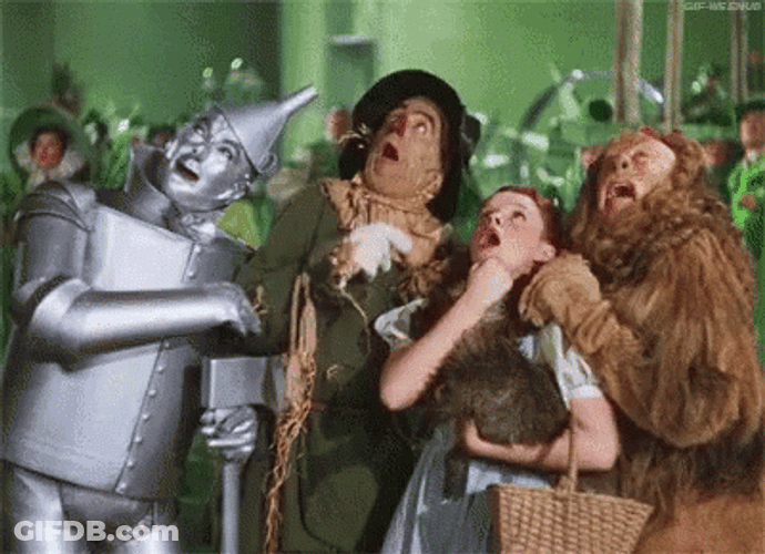 Wicked Witch Melting In The Wizard Of Oz GIF