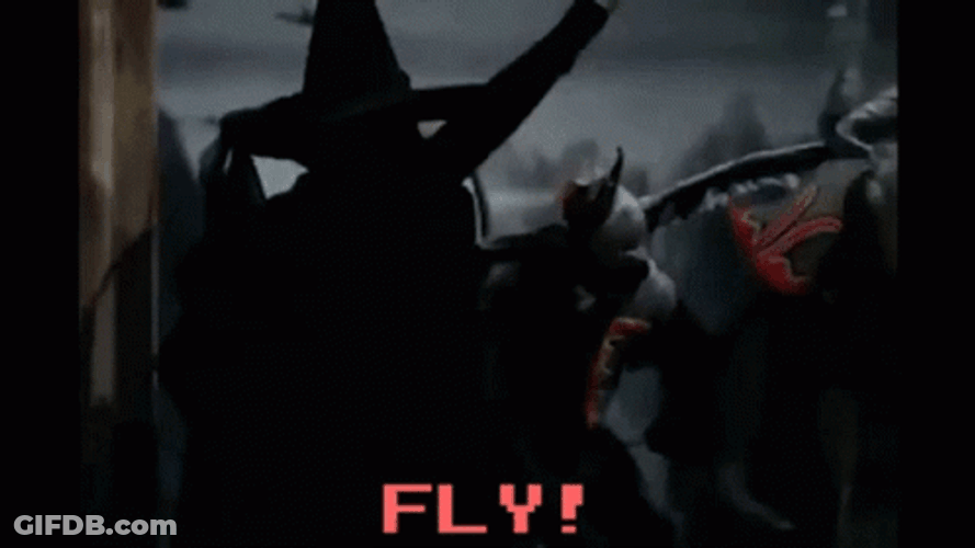 Wicked Witch Melting Monster Flying GIF
