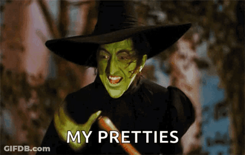 Wicked Witch Melting My Pretties GIF