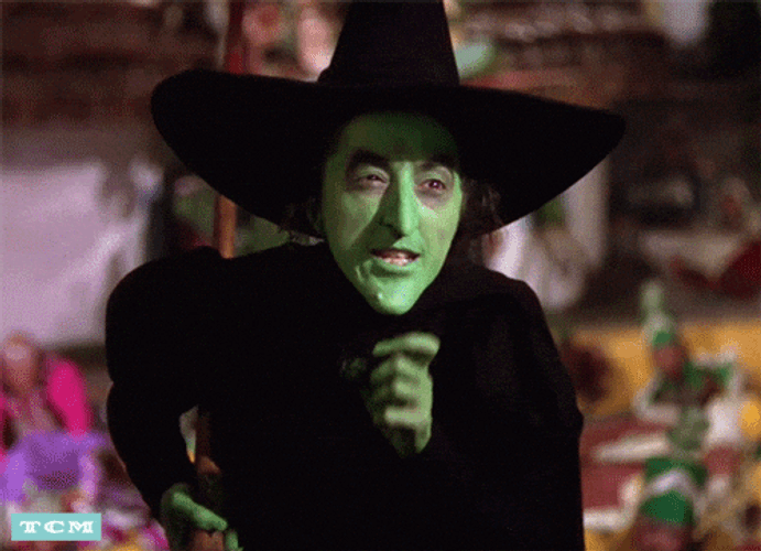 Wicked Witch Melting Warning GIF