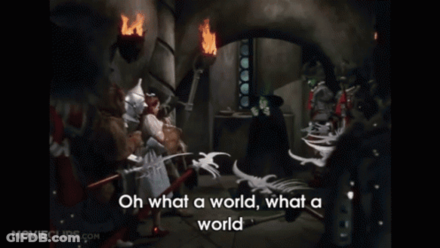 Wicked Witch Melting What World In Cave GIF
