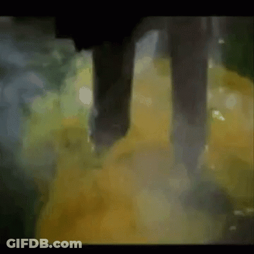 Wicked Witch Melting Yellow Liquid GIF