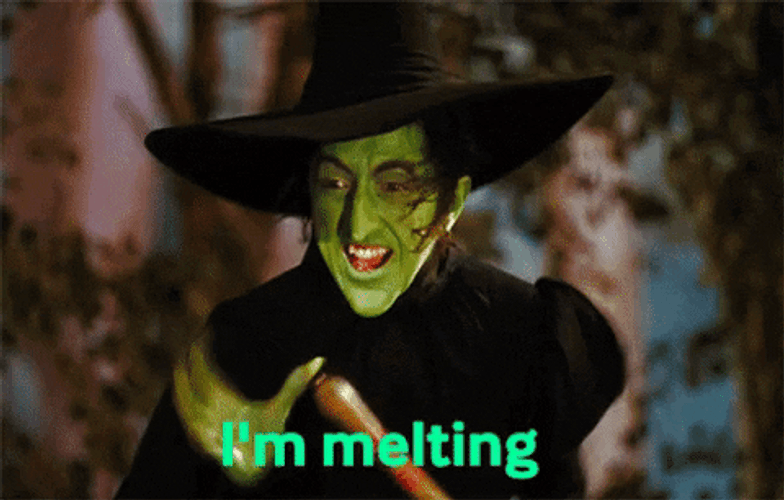Wicked Witch Of Oz Screaming I'm Melting GIF