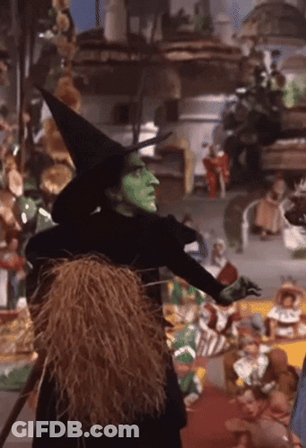 Wicked Witch Of Oz Wearing Straw Hat GIF