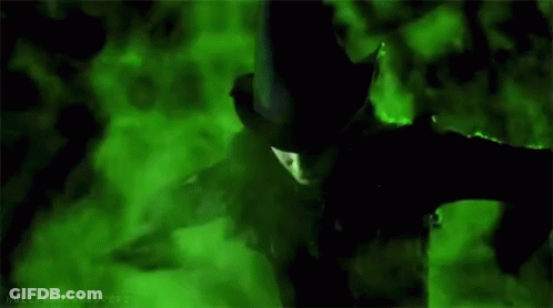 Wicked Witch Of The West In Black Hat And Jacket GIF
