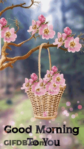 Wicker Basket Of Pink Flowers Saying Good Morning To You GIF