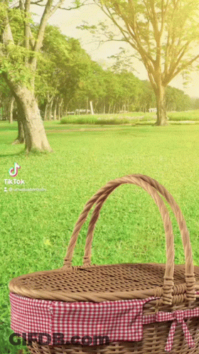 Wicker Picnic Basket With Checkered Blanket GIF
