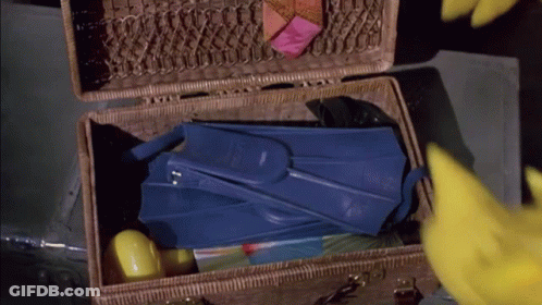 Wicker Suitcase With Blue Flippers GIF