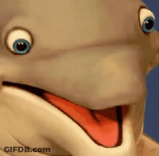 Wide Eyes Dolphin GIF