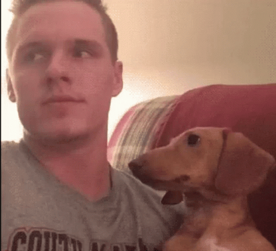 Wiener Dog Caught Staring GIF