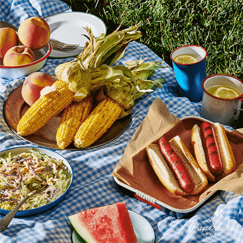 Wiener Wednesday Picnic Day GIF