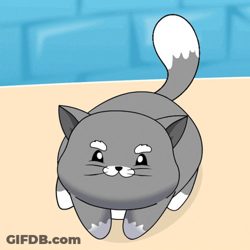 Wiggling Happy Cat Meme GIF