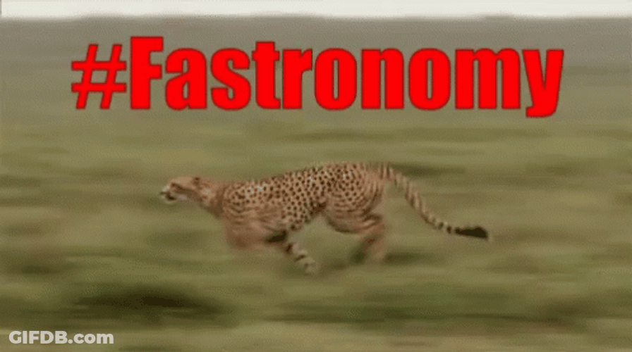 Wild Cat Cheetah Running Fast GIF