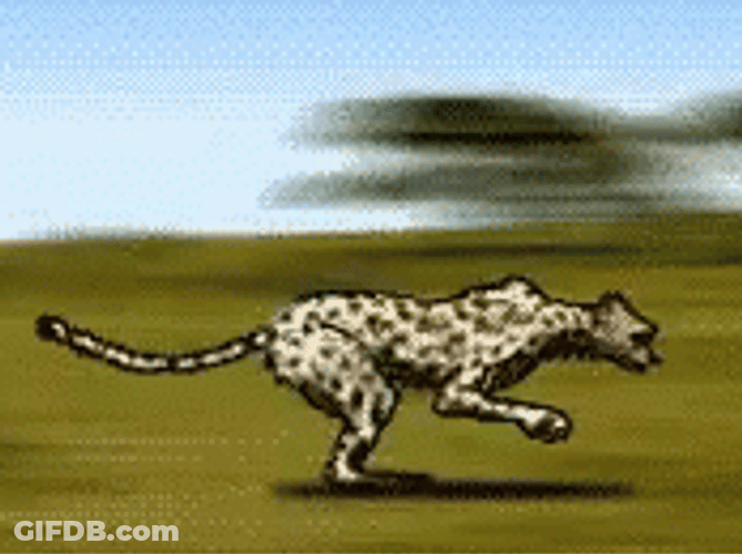 Wild Sticker Cheetah Running GIF