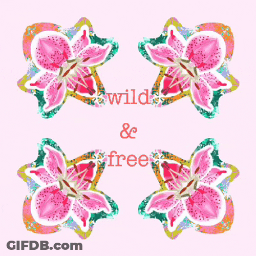 Wild Things And Free GIF