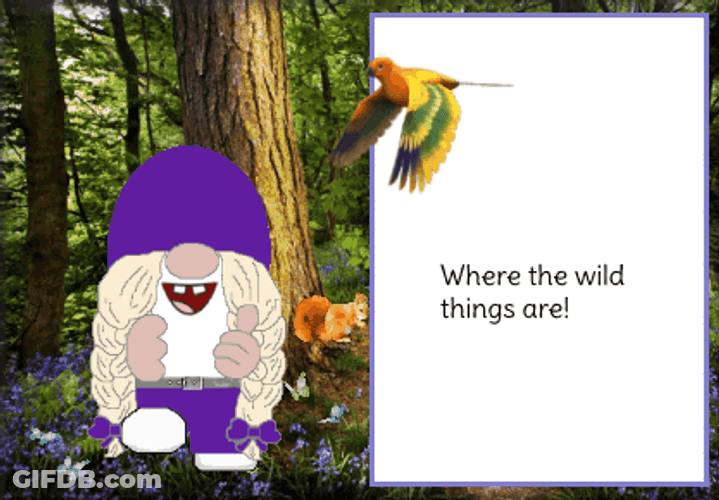 Wild Things Dancing Gnome GIF