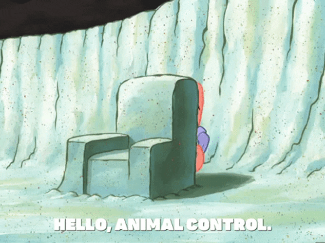 Wild Things Scared Patrick GIF
