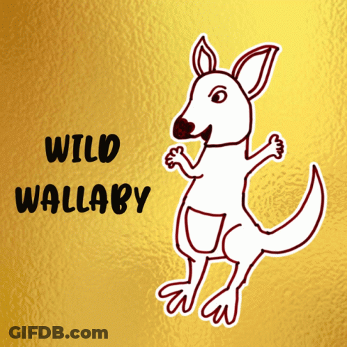 Wild Wallaby Kangaroo Drawing GIF