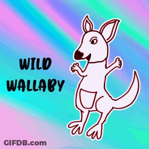 Wild Wallaby Kangaroo Drawing GIF