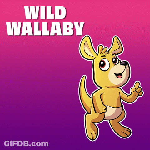 Wild Wallaby Kangaroo GIF