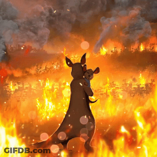 Wildfire Animated Wallaby With Baby GIF