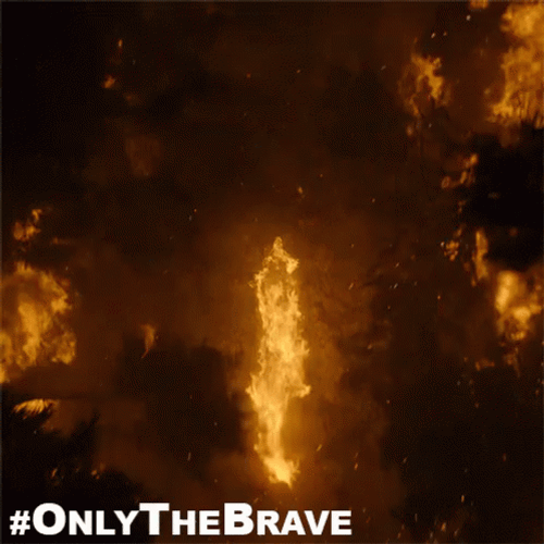 Wildfire Flaming Tiger Creature Speeding Up GIF