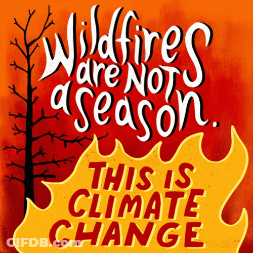 Wildfire Not Season Graphics Design GIF