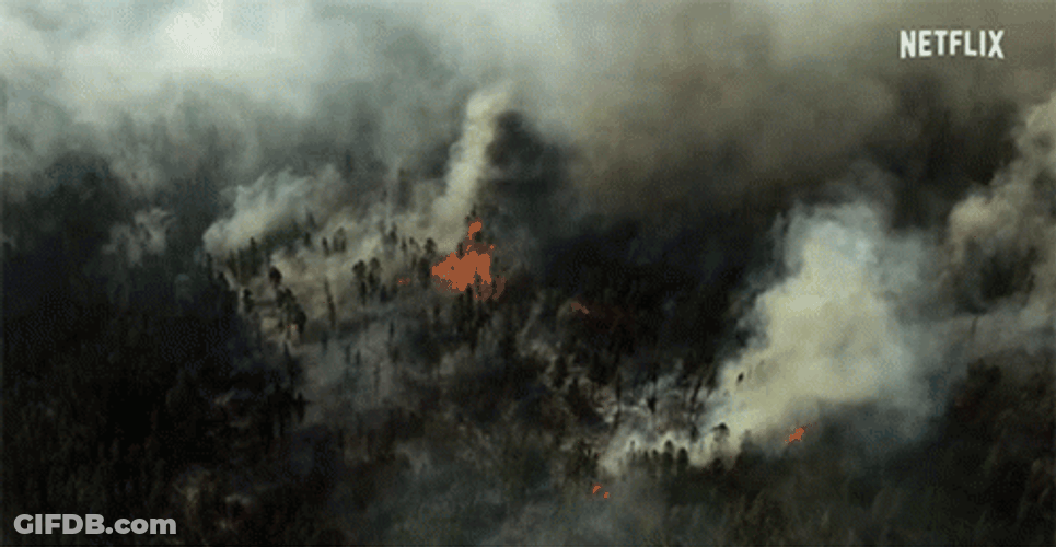 Wildfire Panoramic View Burning Hazy Forest GIF