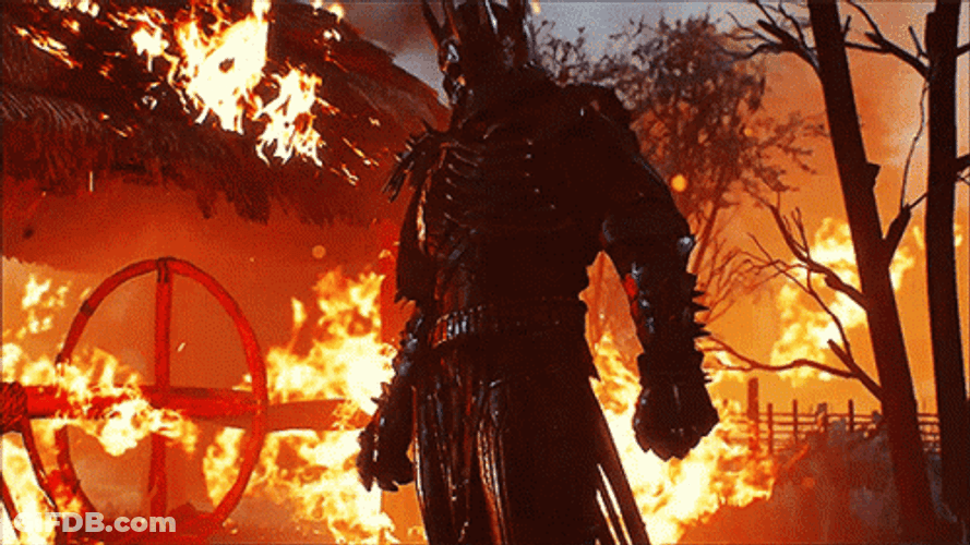 Wildfire The Witcher Wild Hunt GIF