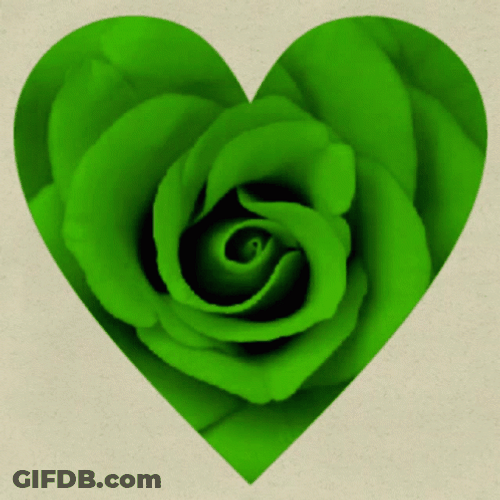 Wildflower Heart Rose RGB Aesthetic GIF