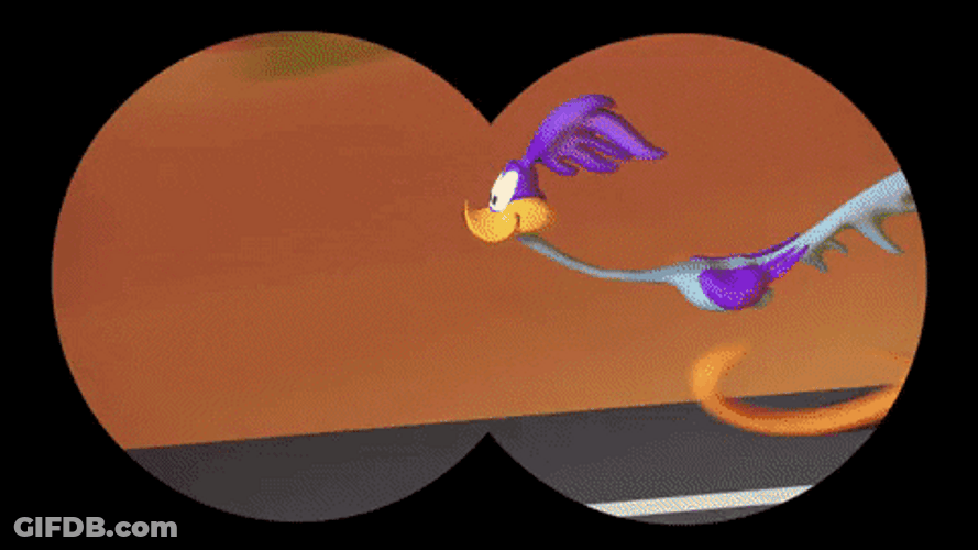 Wile E Coyote Binoculars GIF