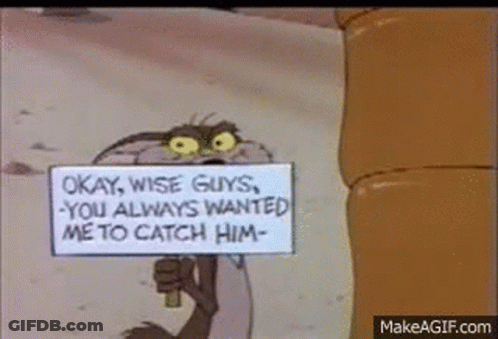 Wile E Coyote Catches Roadrunner Coyote Catches Road Runner GIF