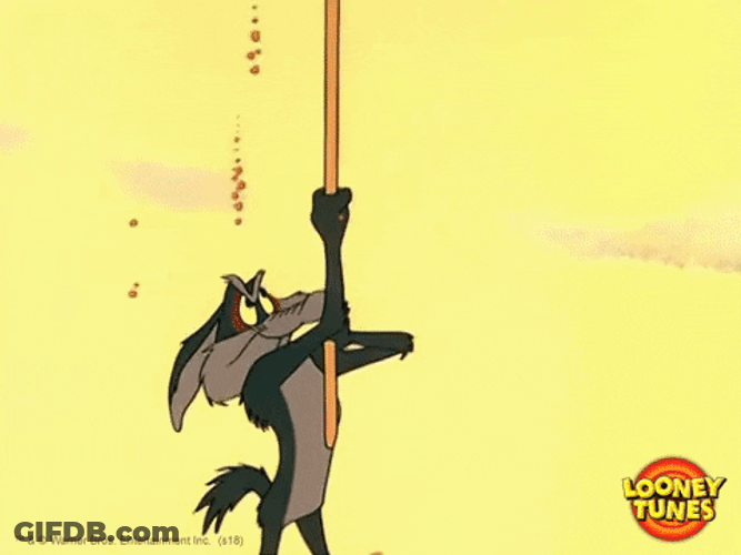 Wile E Coyote Climbing Rope GIF